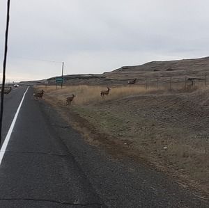 Meet your Posher, Gregorio